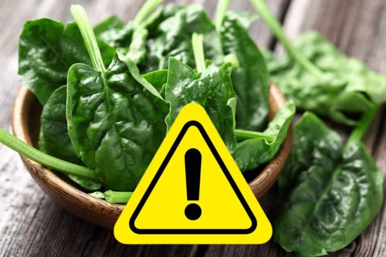 spinaci pericolo.jpg