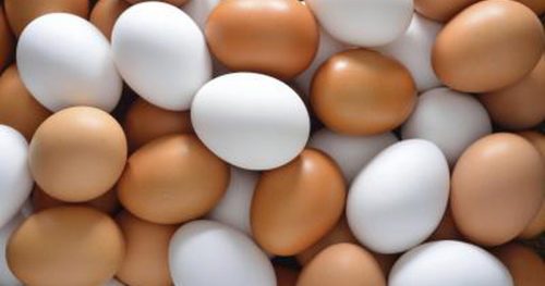 uova 500x263.jpg
