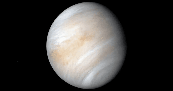 venus m 1.png