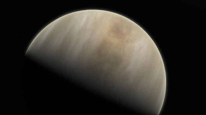 venus m.jpg