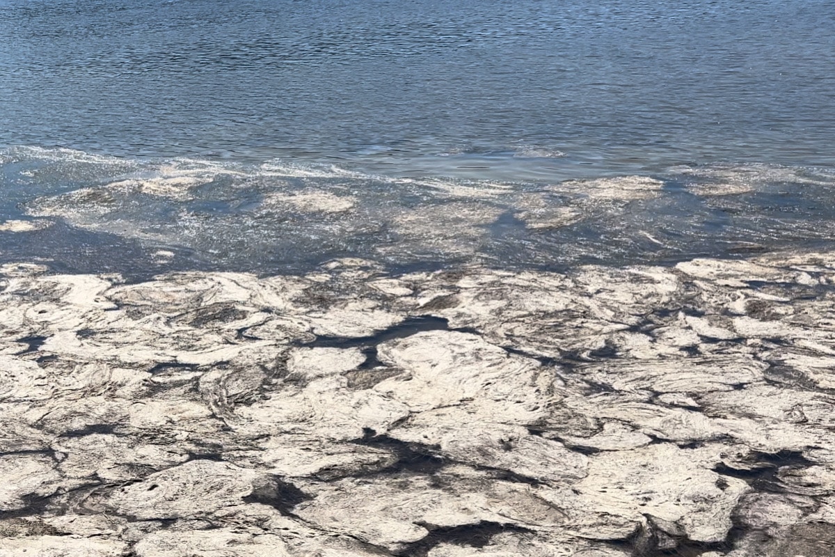 Invasione di mucillagine nell’Adriatico: cos’è, come si forma e perché il fenomeno sarà sempre più frequente? 1 70D42C19 93D5 447F B715 8215FA778F95.jpeg