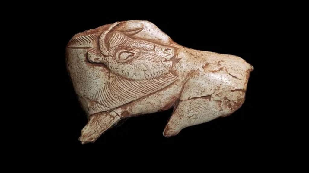 Trovata rara incisione preistorica risalente a 14.000 anni fa 1 BDAjywfCS5vfYrzcBuDnZB 650 80.jpg 1 1024x575.jpg