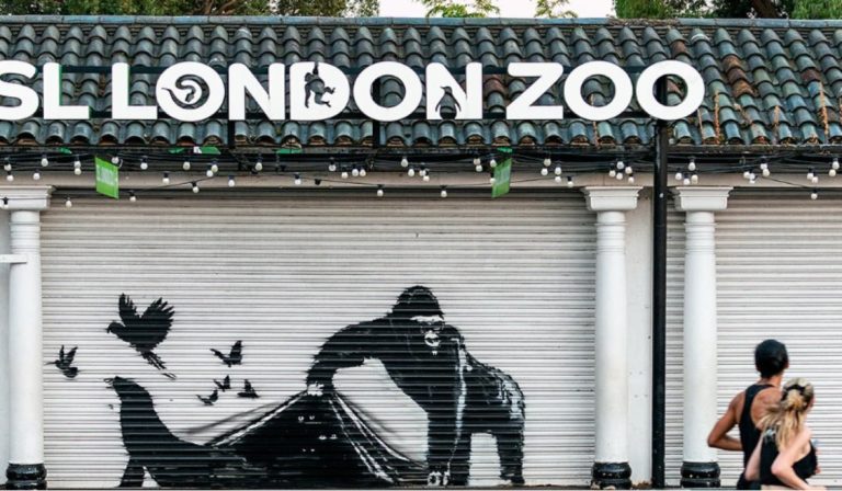 Banksy gorilla.jpg