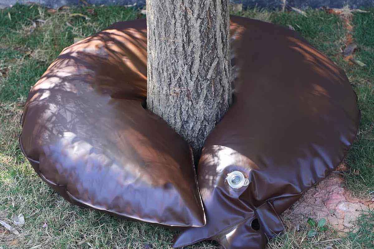 Baumbad invenzione di un anello di irrigazione.jpg