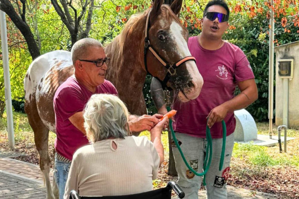 Cavallo desiderio.jpg
