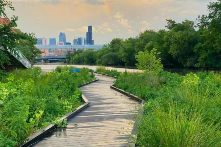 Chicago Urban River.jpg