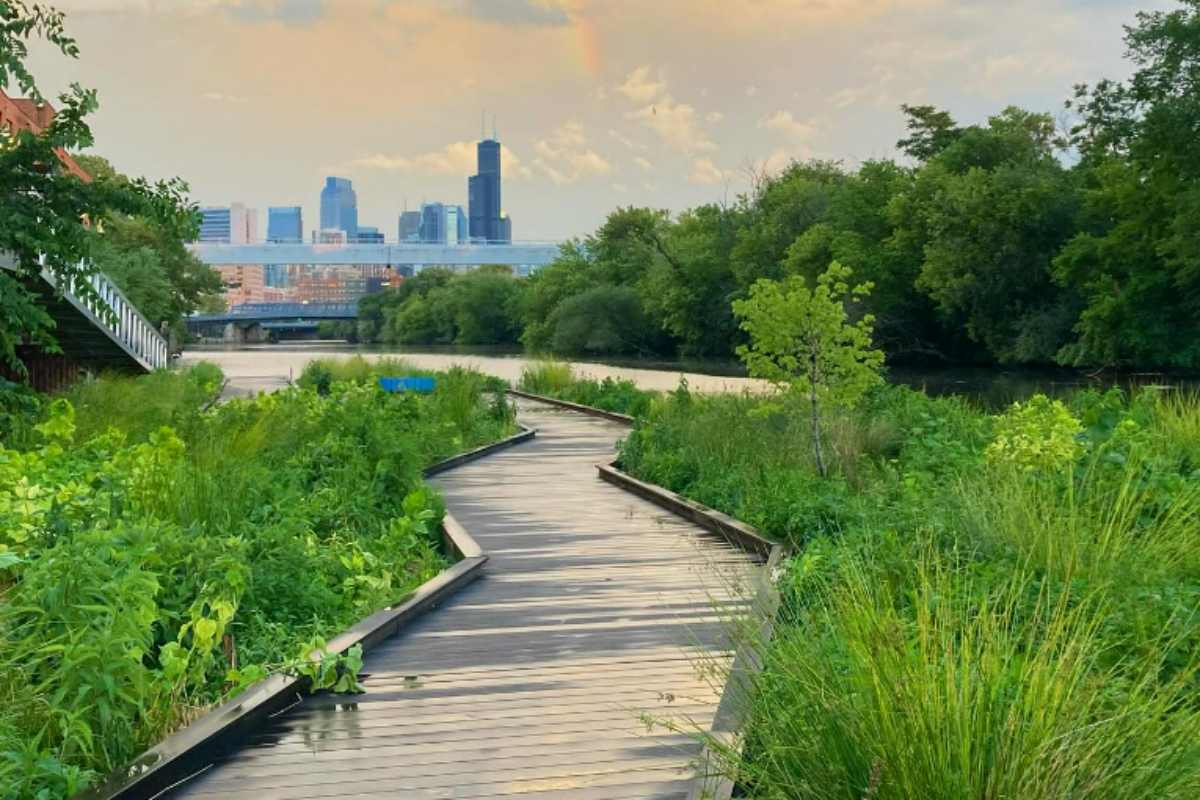 Chicago Urban River.jpg
