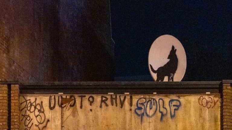Lupo Banksy opera rubata.jpg