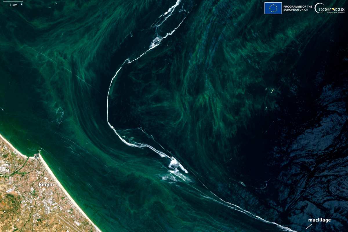 Il Mar Adriatico è invaso dalla mucillagine: ecco come appare il fenomeno dallo Spazio 1 Mucillagine 1.jpg