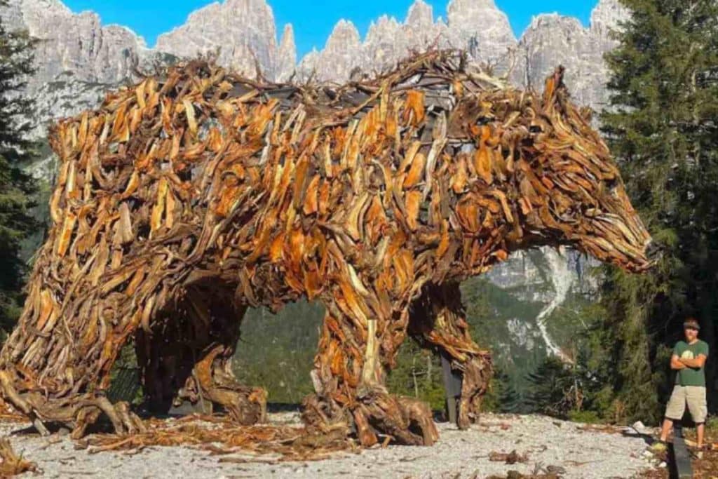 Orso Trentino.jpg