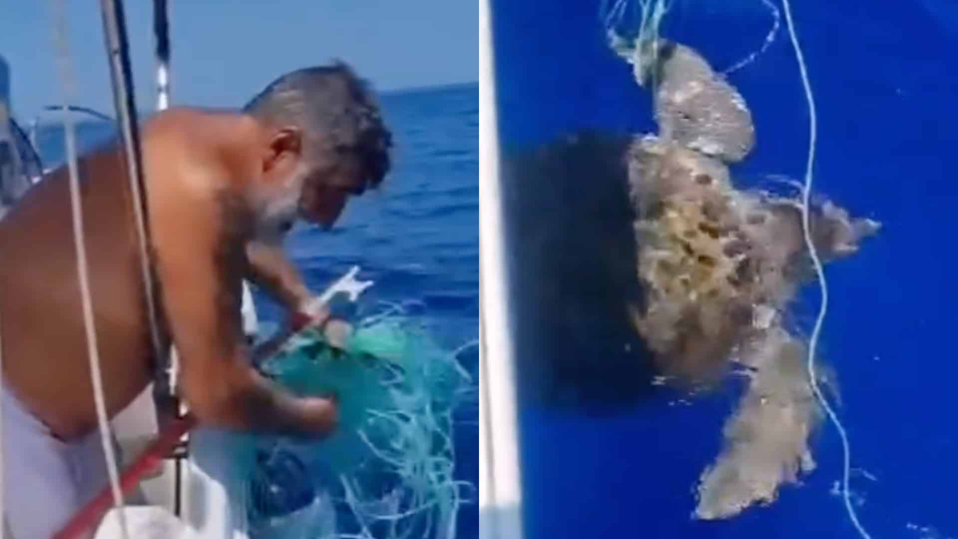 Roberto Da Crema, il “Baffo” delle televendite, salva una tartaruga a Lampedusa – Il video 1 Roberto crema tartaruga.jpg