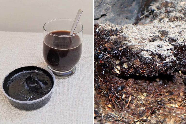 Shilajit.jpg