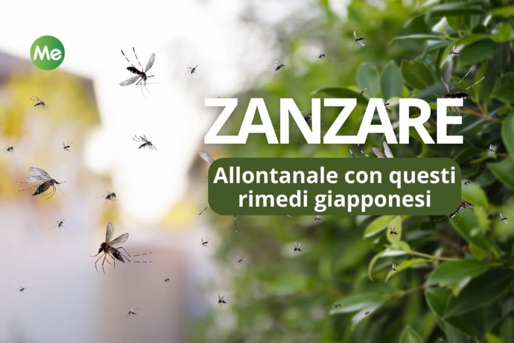 allontanare le zanzare .jpg