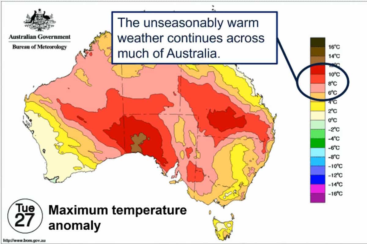 Caldo record nell’inverno australiano: sfiorati i 41,6 gradi, segnale della crisi climatica 1 australia caldo.jpg