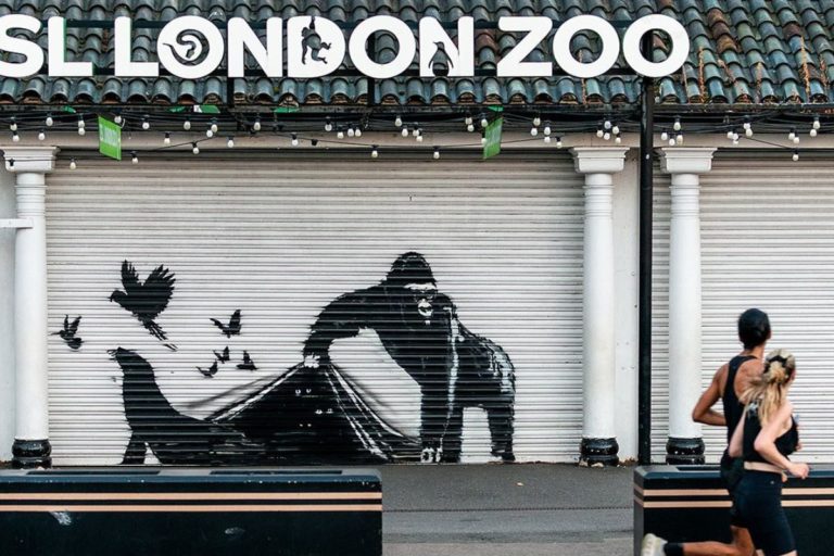 banksy london zoo.jpg