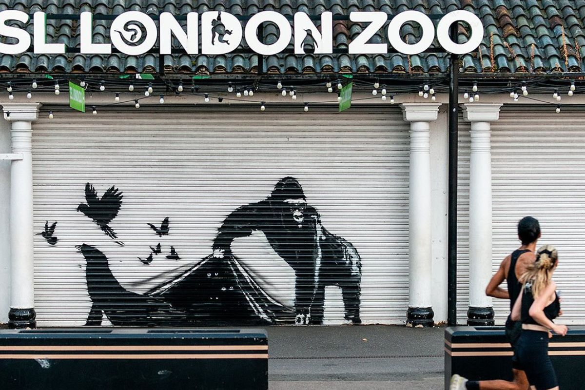 Banksy: lo zoo di Londra ha rimosso l’ultima opera del “safari urbano”, dove finirà? 1 banksy london zoo.jpg