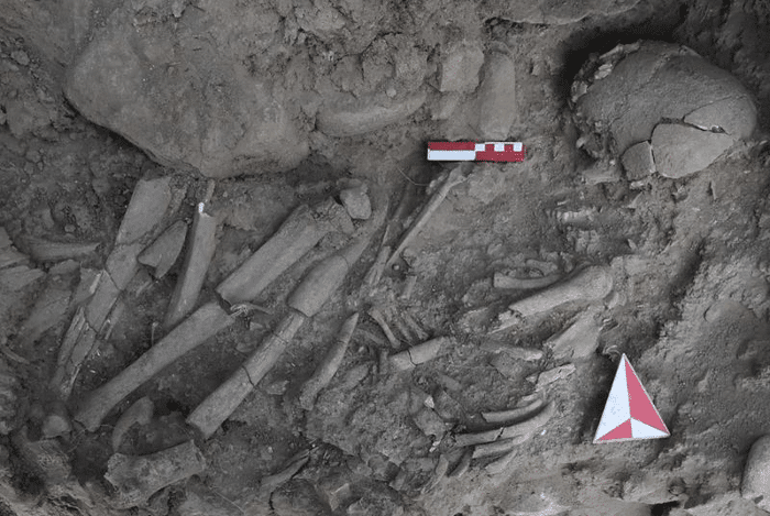 Scoperta sepoltura sciamanica di 12.000 anni fa lungo il fiume Tigri 1 burial m.png