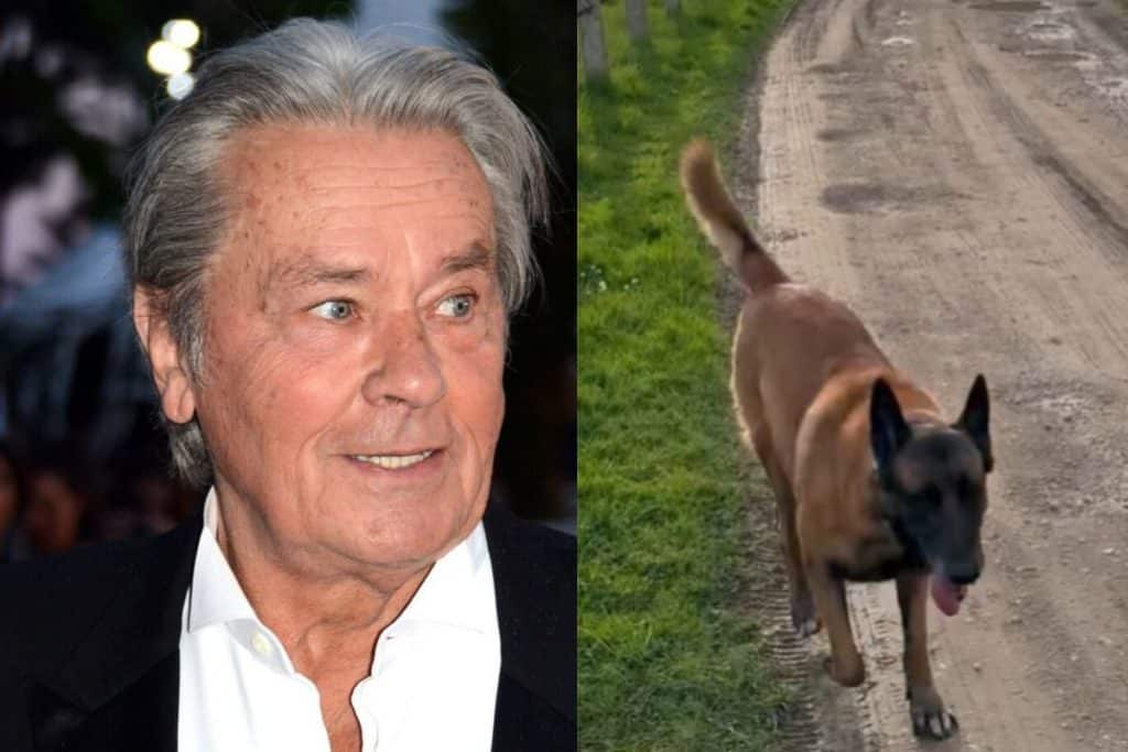cane Delon.jpg