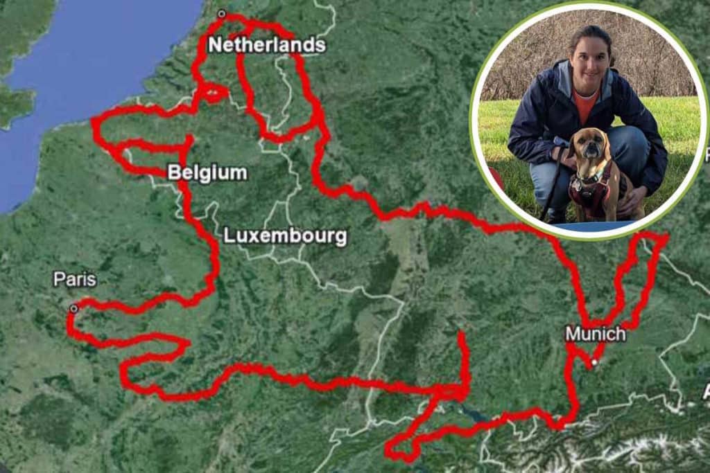 cane mappa gps.jpg