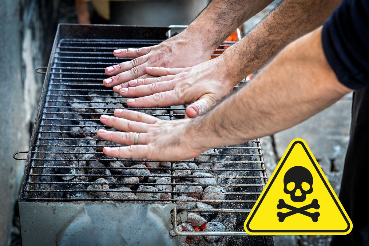 Grigliate tossiche: maxi sequestro di carbonella contaminata da diossina e idrocarburi in tutta Italia 1 carbonella tossica.jpg