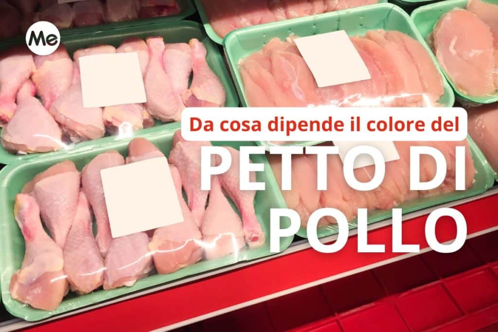 colore del petto di pollo.jpg