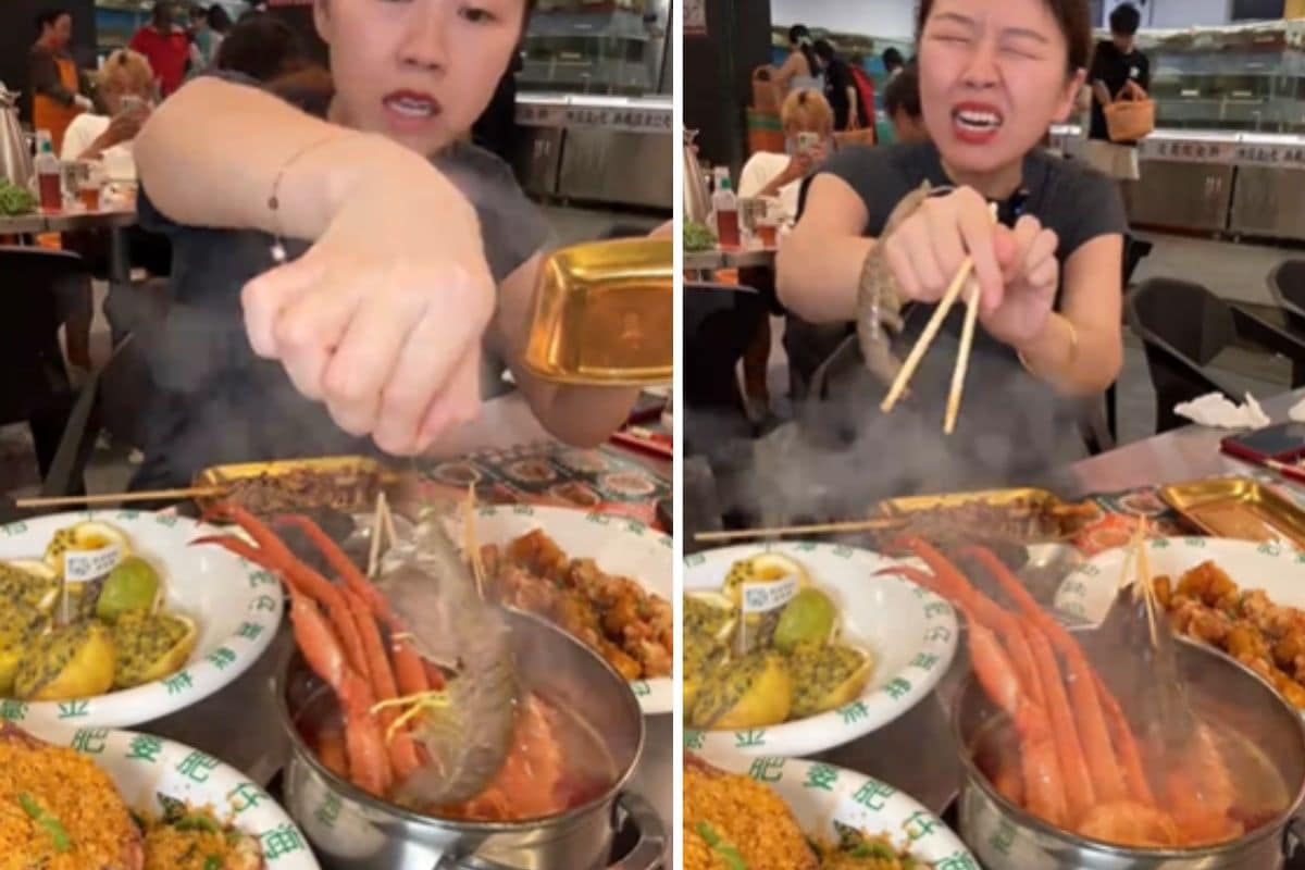 crostaceo.jpg
