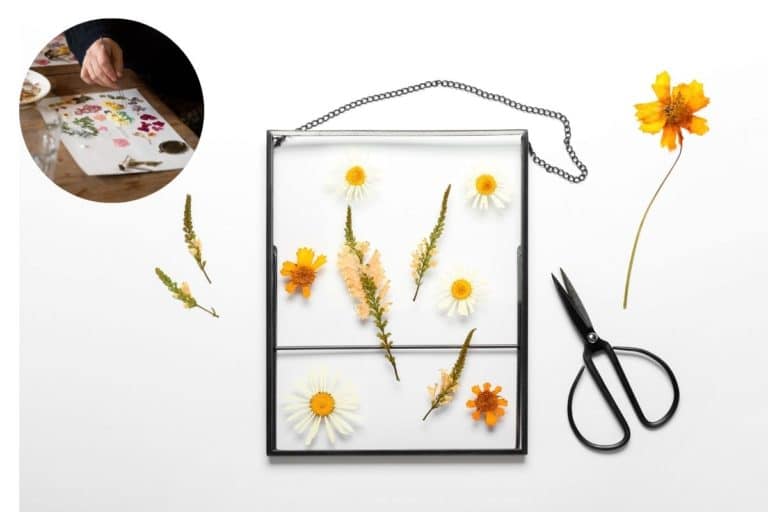 decorazioni con fiori pressati.jpg