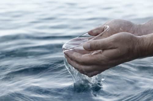 drink saltwater orig 500x333.jpg