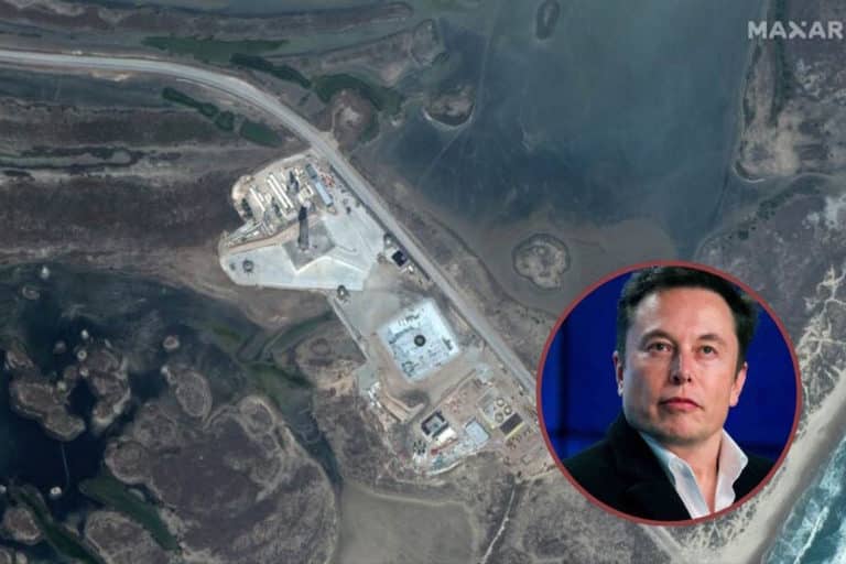 elon spacex.jpg