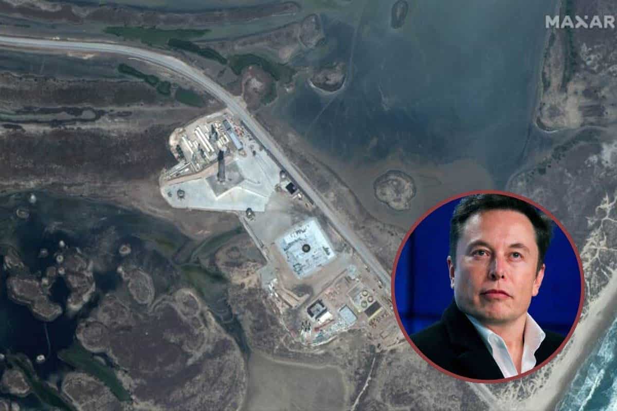 elon spacex.jpg