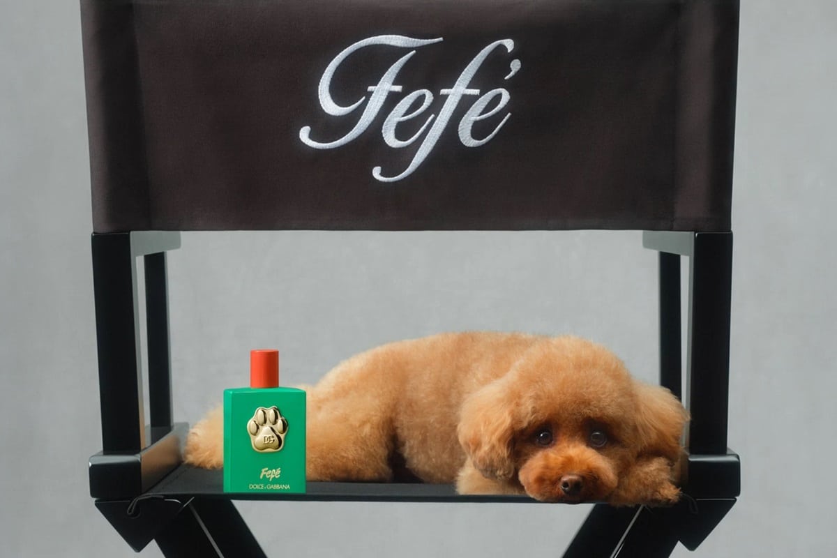 Fefé, il profumo per cani targato Dolce&Gabbana. Ma ce n’era davvero bisogno? Il parere della veterinaria 1 fefe.jpg