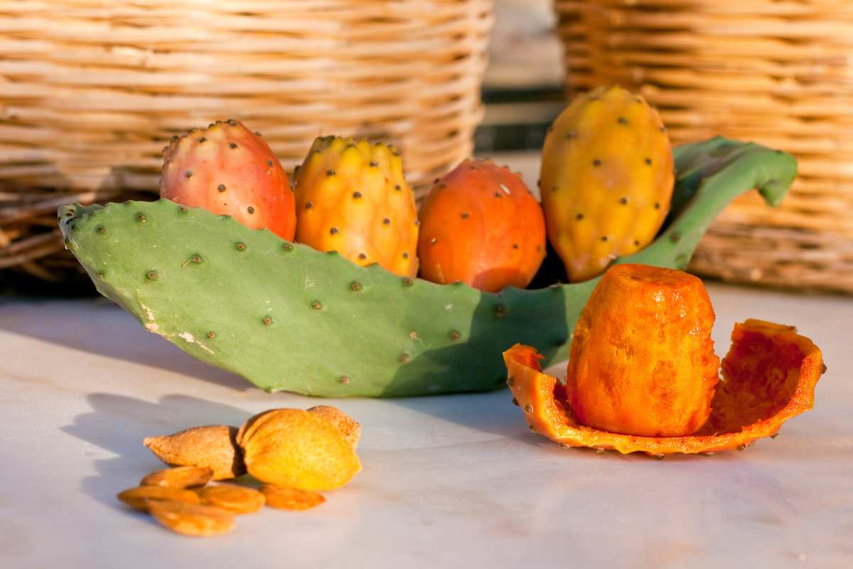 Fichi d’India: 10 ricette per gustarli al meglio 1 fichi dindia.jpg
