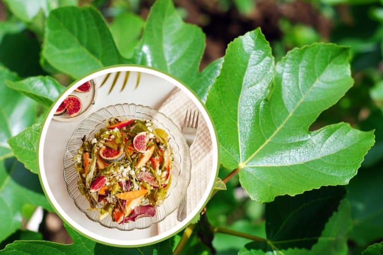 foglie di fico cucina.jpg