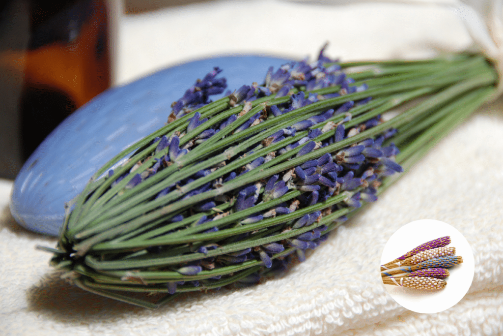 fusi di lavanda.png