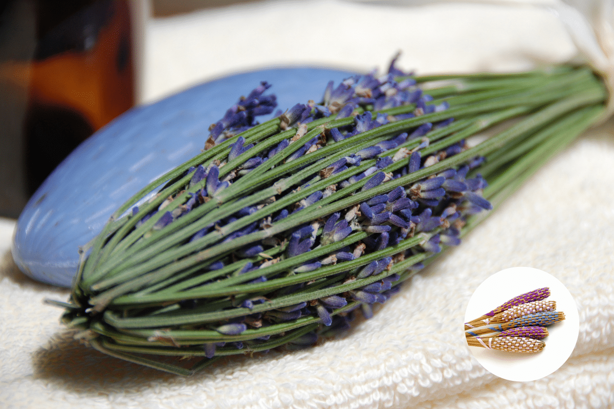 fusi di lavanda.png