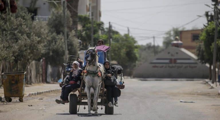 gaza deir al balah scaled.jpg