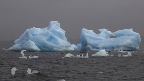 ghiaccio marino antartico 500x281.jpg