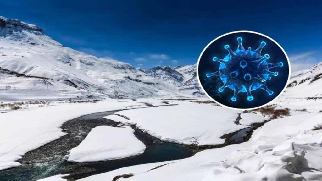 Oltre 1.000 antichi virus sconosciuti alla scienza trovati nei ghiacciai dell’Himalaya 1 himalayan ice core virus 1 1024x576.jpg