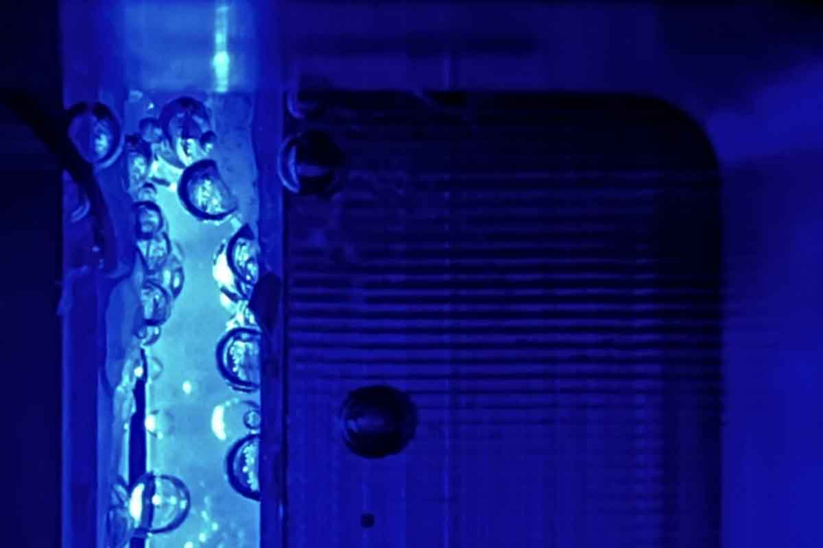 idrogeno verde foglie artificiali.jpg
