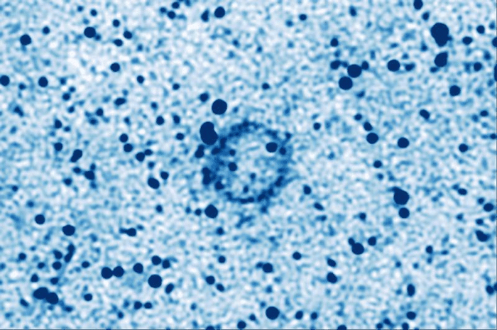 kyklos ring stands out in this cleaned up image of meerkat s l band m.png