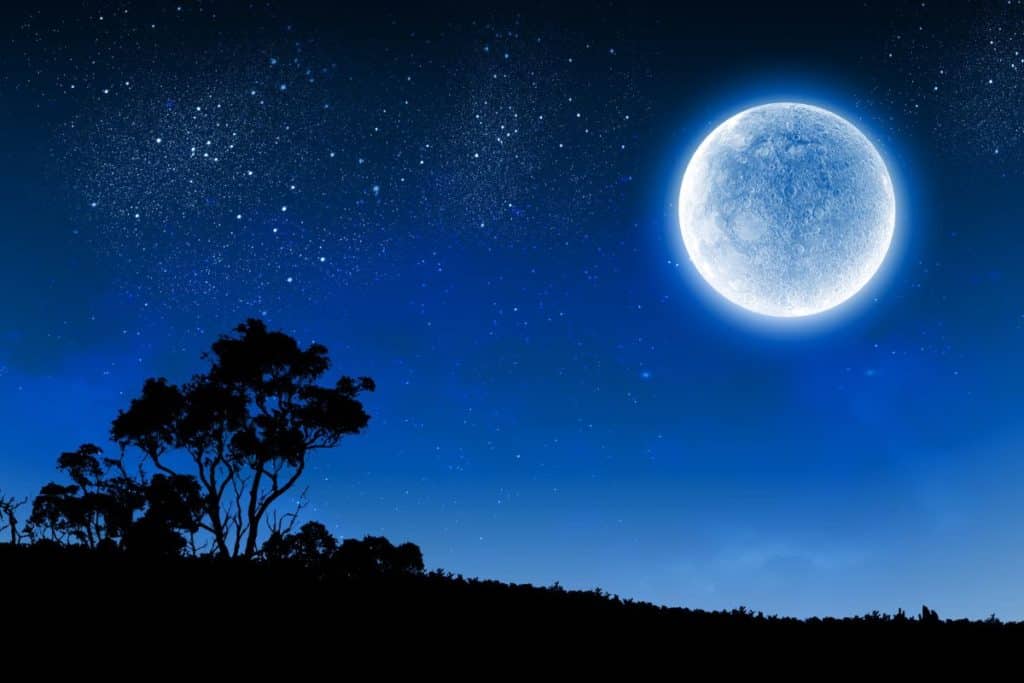 luna blu 19ago2024.jpg