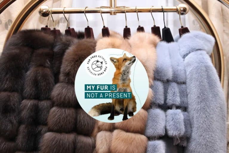 max mara furfree.jpg