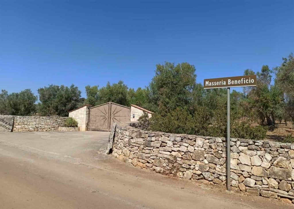 meloni vacanza puglia.jpg