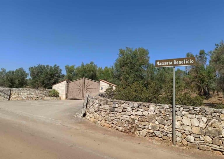 meloni vacanza puglia.jpg