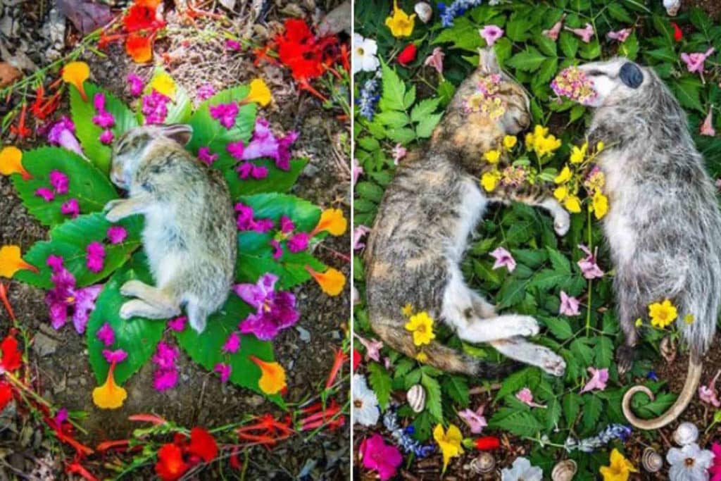 memoriale animali.jpg