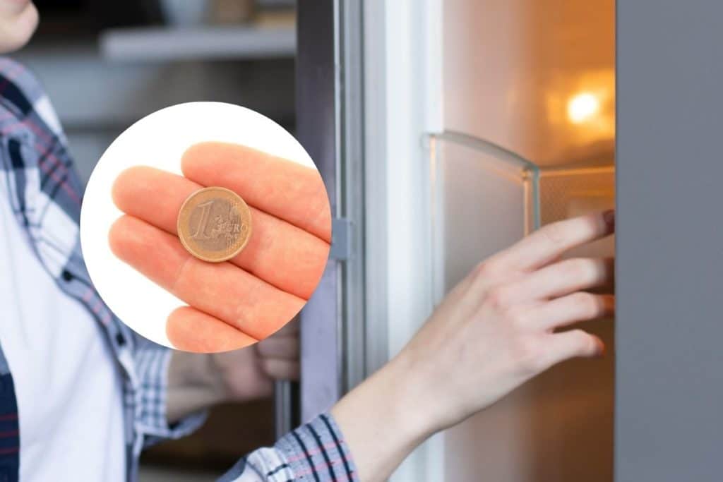 moneta freezer.jpg