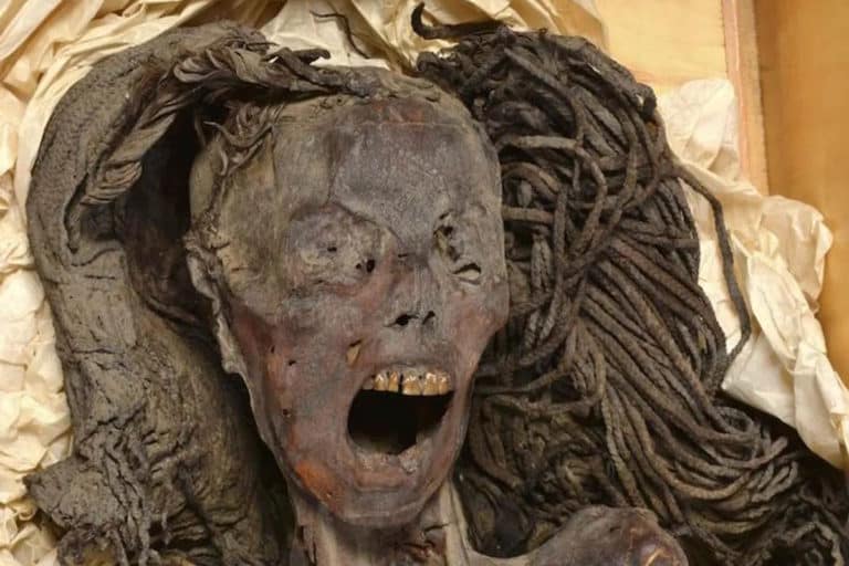 Finalmente sappiamo perché questa mummia “urla” da 3.500 anni 1 mummia urlante.jpg