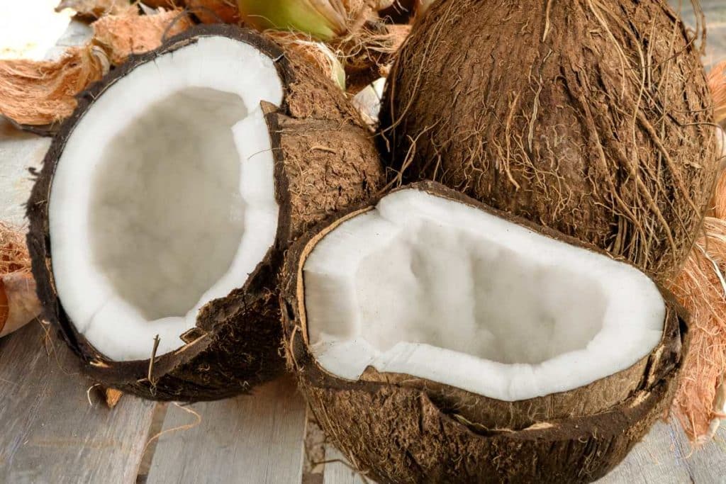 noci di cocco.jpg