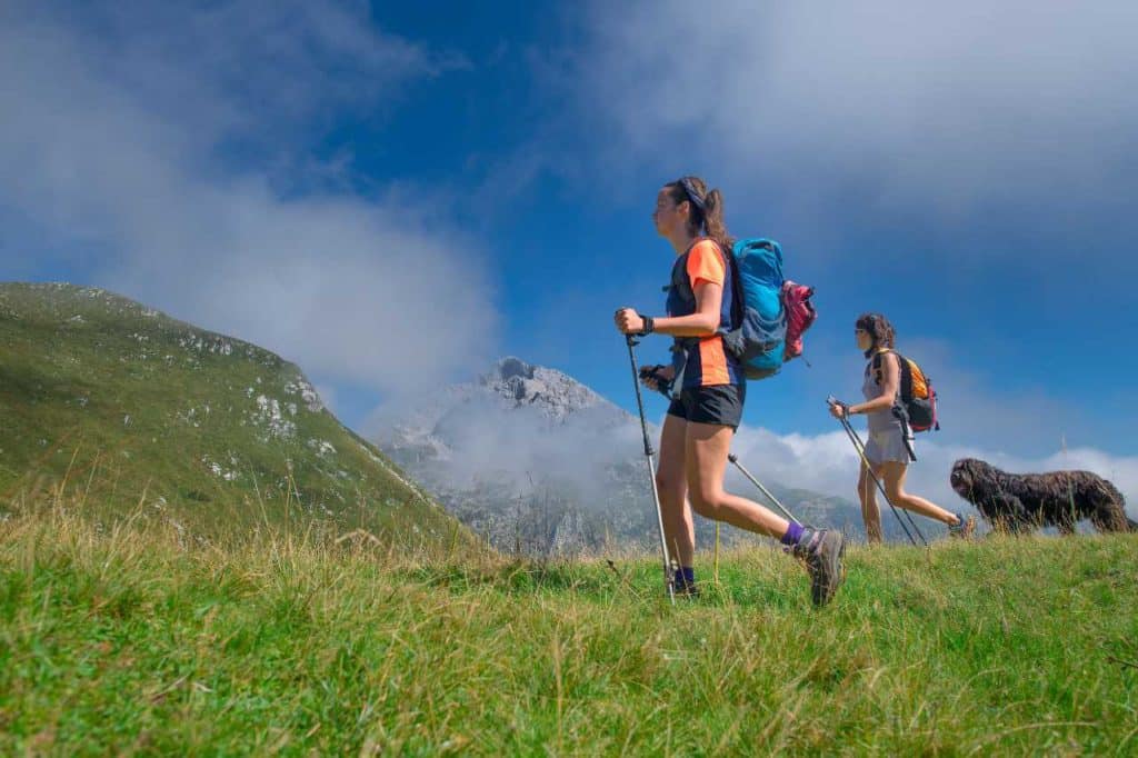 nordic walking.jpg