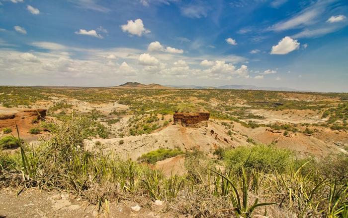 olduvai gorge m.jpg